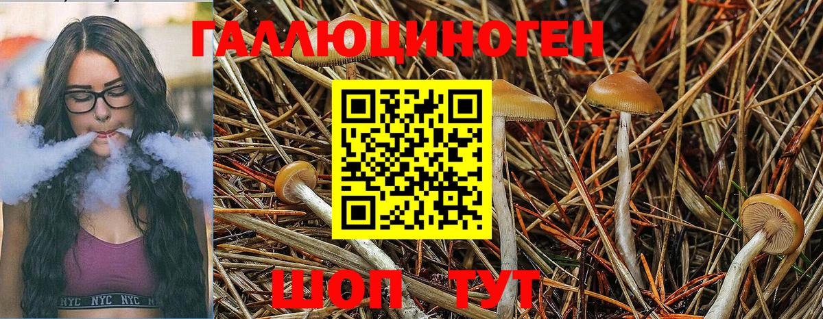Ялта  Псилоцибиновые грибы Psilocybe  Вход с VPN 